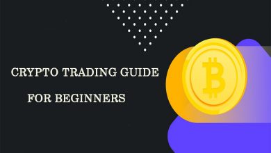 Crypto Trading Guide for Beginners
