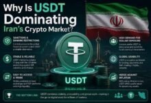 USDT Dominating Iran Crypto